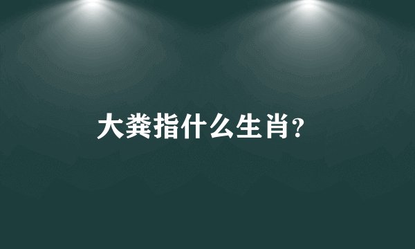 大粪指什么生肖？