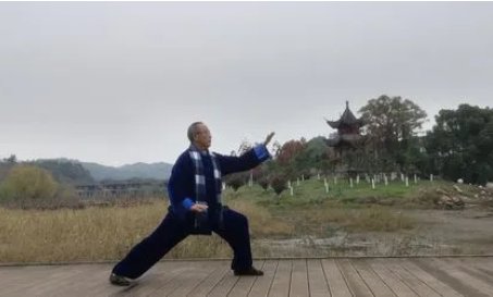 野马分鬃怎么读？