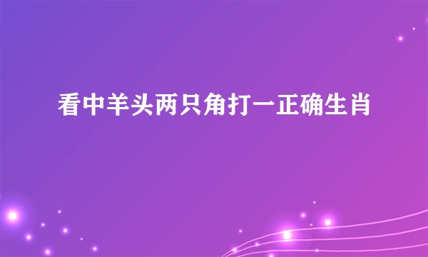 看中羊头两只角打一正确生肖