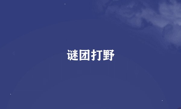 谜团打野