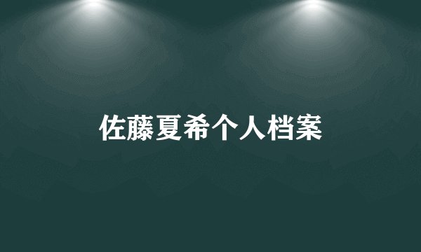 佐藤夏希个人档案