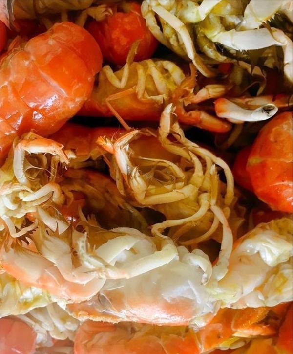 烟台海边出现大量泸沽虾 这是咋情况?