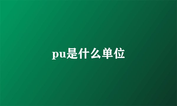 pu是什么单位