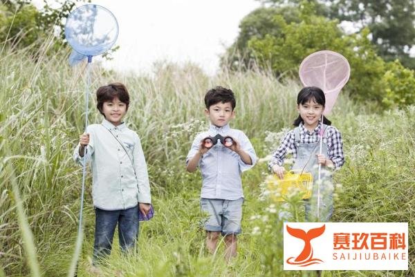 三胎概念龙头股有哪些？2025年100家三胎概念龙头股