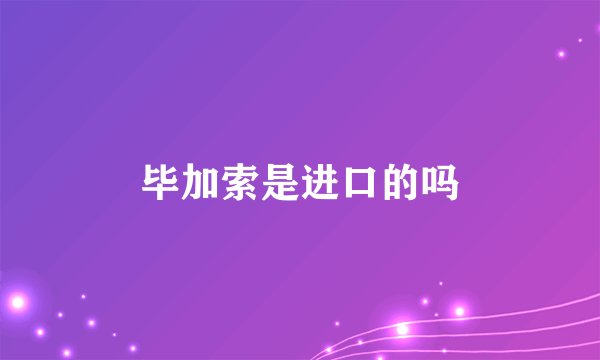 毕加索是进口的吗