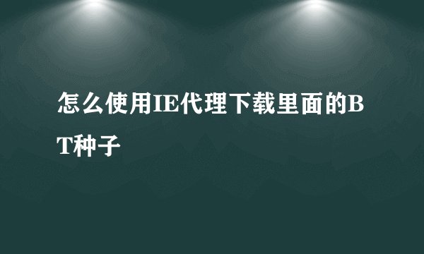 怎么使用IE代理下载里面的BT种子