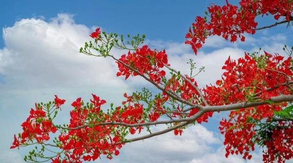 如何撑过“被单身”？