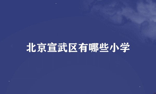 北京宣武区有哪些小学
