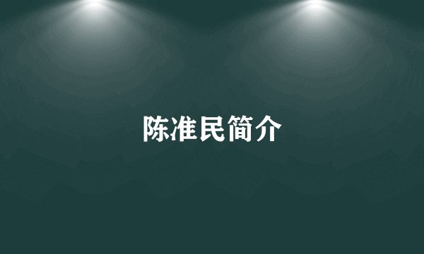 陈准民简介