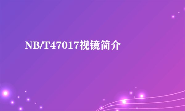 NB/T47017视镜简介