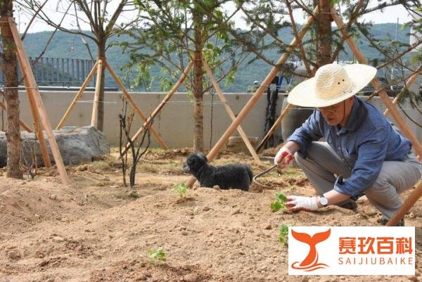 文在寅被示威者堵家门口 尹锡悦回应