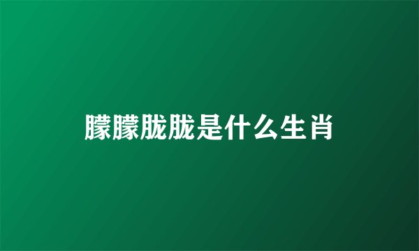 朦朦胧胧是什么生肖