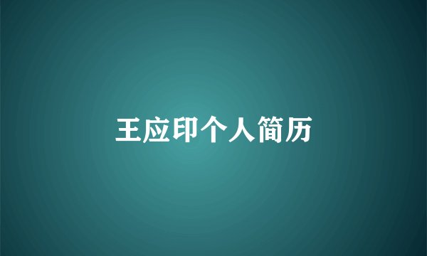 王应印个人简历