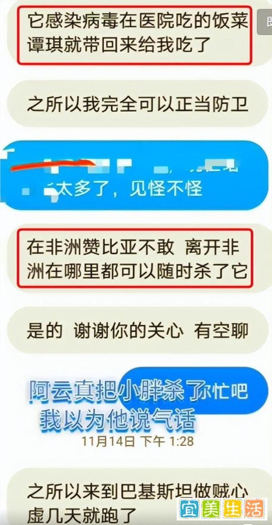 网红小胖尼泊尔遇害,最后画面曝光!凶手身份披露:原是网红起纷争