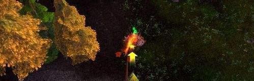 温柔的动物有福了，因为它们必承受卡利姆多攻略