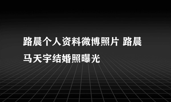 路晨个人资料微博照片 路晨马天宇结婚照曝光