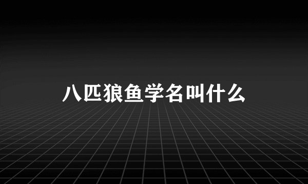 八匹狼鱼学名叫什么