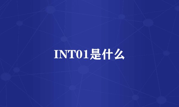 INT01是什么
