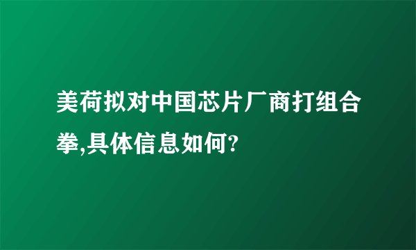 美荷拟对中国芯片厂商打组合拳,具体信息如何?