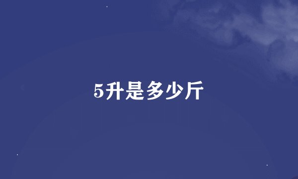 5升是多少斤