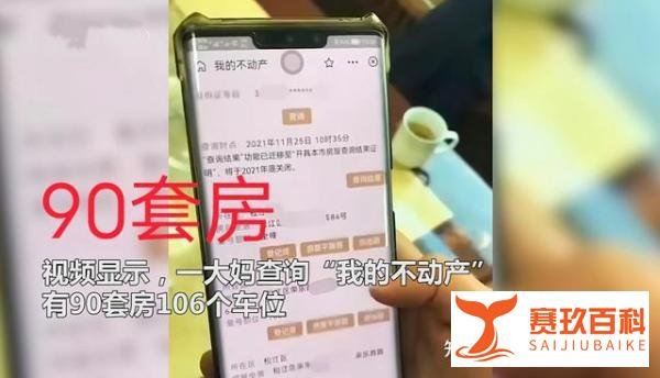 上海一大妈查询不动产，坐拥90套房106个车位，还雇了3个人收租播报文章