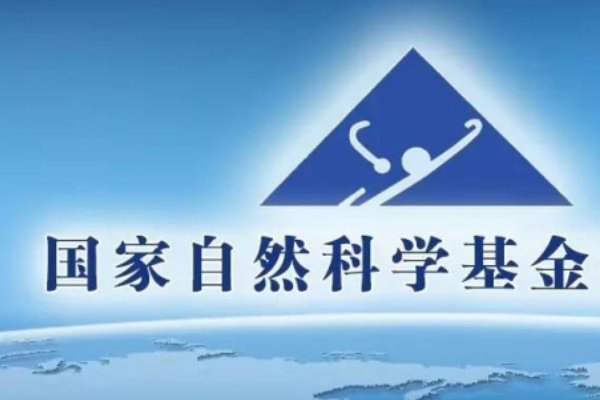 国家自然科学基金编号是多少？
