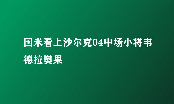国米看上沙尔克04中场小将韦德拉奥果