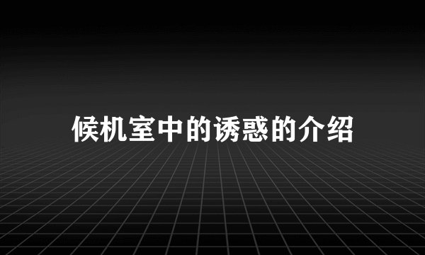 候机室中的诱惑的介绍