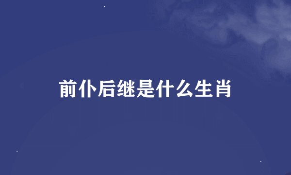 前仆后继是什么生肖