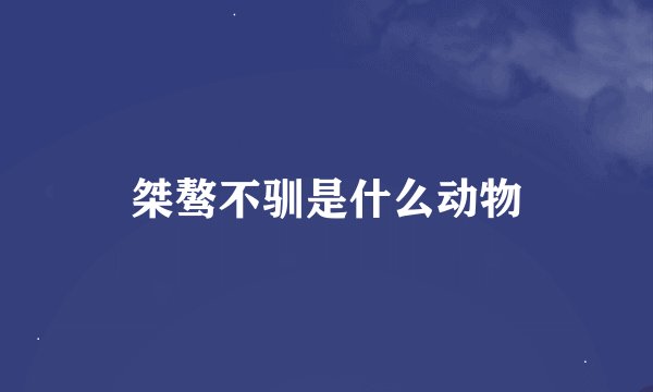 桀骜不驯是什么动物