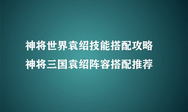 神将世界袁绍技能搭配攻略 神将三国袁绍阵容搭配推荐