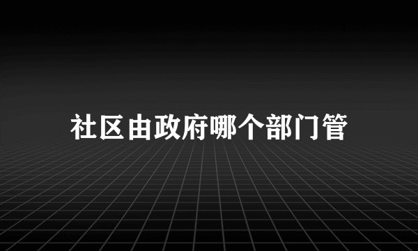 社区由政府哪个部门管