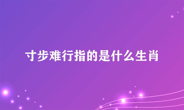 寸步难行指的是什么生肖