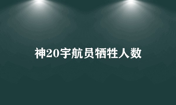 神20宇航员牺牲人数