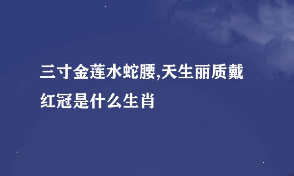 三寸金莲水蛇腰,天生丽质戴红冠是什么生肖