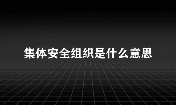 集体安全组织是什么意思
