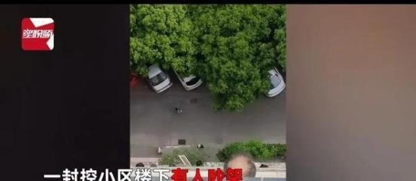 女子开窗看热闹 整楼窗边都是脑袋，整栋楼都在看热闹。疫情期间都出不去吧，只能在窗户上看看热闹。