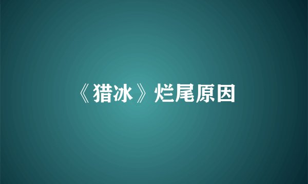 《猎冰》烂尾原因