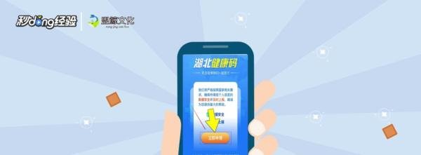 湖北健康码转码申请怎么写