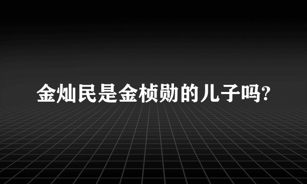金灿民是金桢勋的儿子吗?
