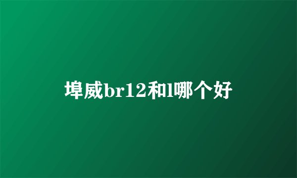 埠威br12和l哪个好