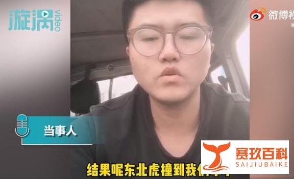 东北虎拍碎车窗亲历者发声 这是咋情况？