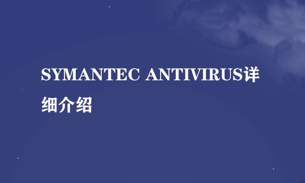 SYMANTEC ANTIVIRUS详细介绍