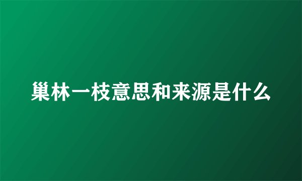 巢林一枝意思和来源是什么