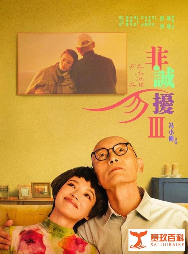 《非诚勿扰3》一部不知所云乏善可陈让人失望的续貂之作