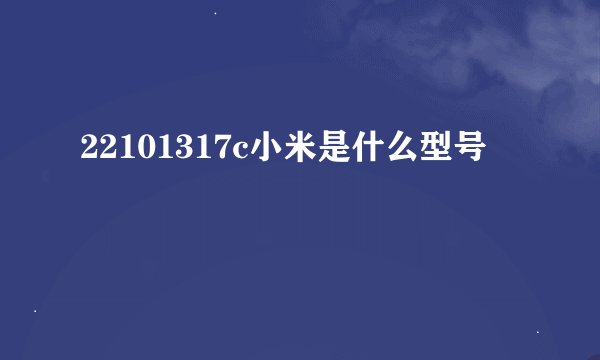22101317c小米是什么型号