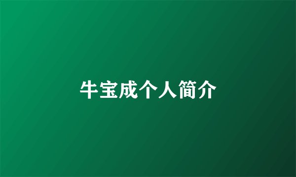 牛宝成个人简介