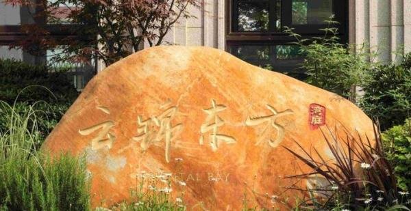 不可思议！上海热门楼盘出现“一日夫妻”买房，你怎么看？