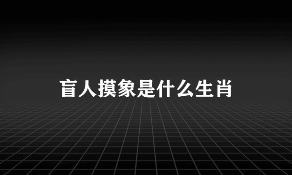 盲人摸象是什么生肖