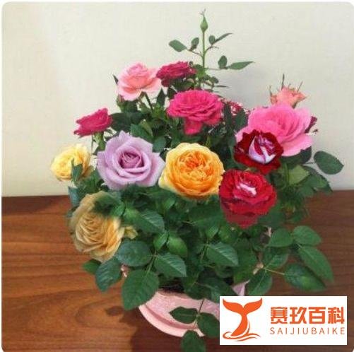 惊呆！上市公司董事长强制员工五一加班，放言“不服的，马上炒掉”！